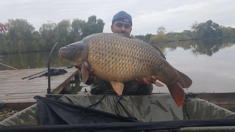 Cupa Toamnei !  8 - 11 octombrie 2015 - 120642579423761358298391327230921n.jpg